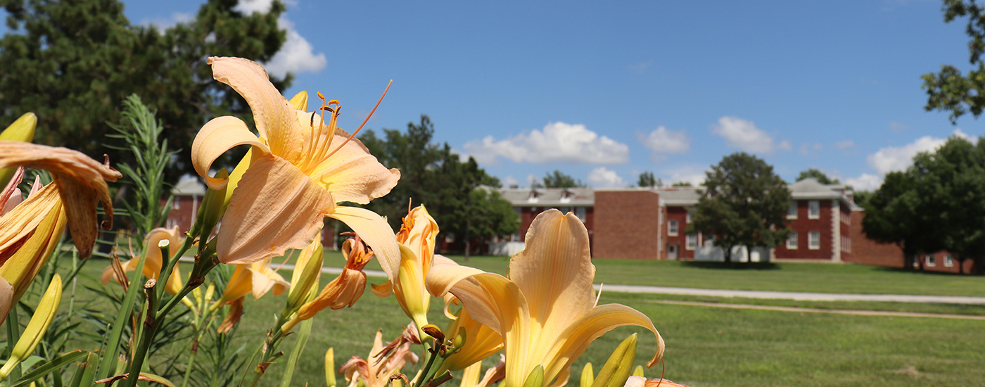 Beatrice State Developmental Center